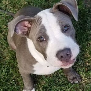 Meet your Posher, Jill